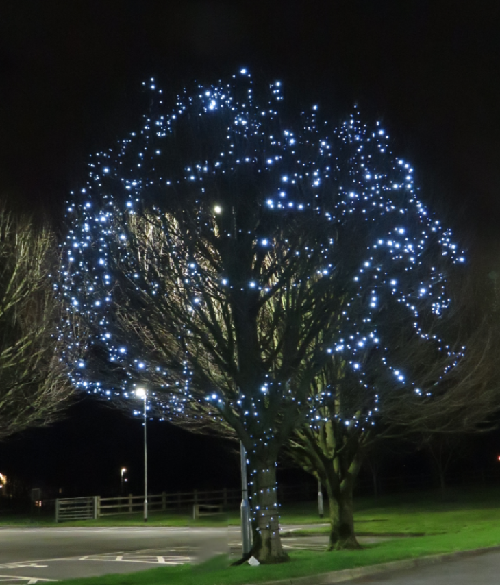 Supporters join together at Hospice to pay tribute to their loves ones at Light up a Life.