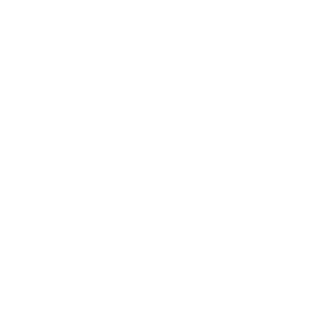 eBay Shop