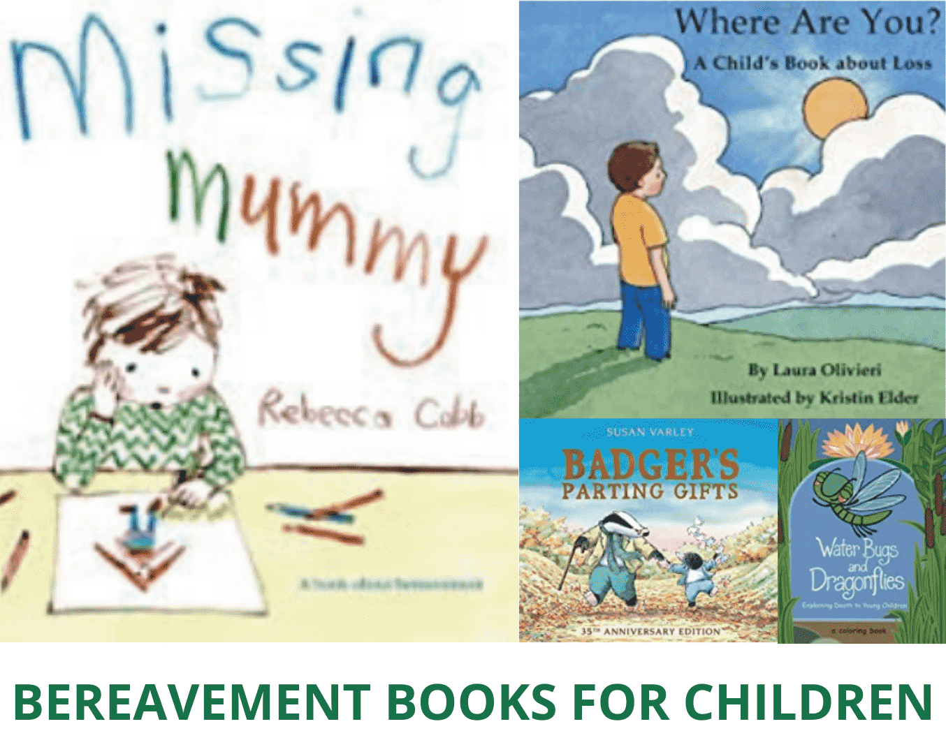Bereavement books for children
