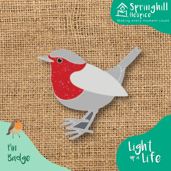 Robin Pin badge